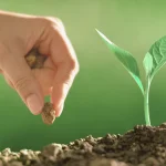 starting vs. growing a business