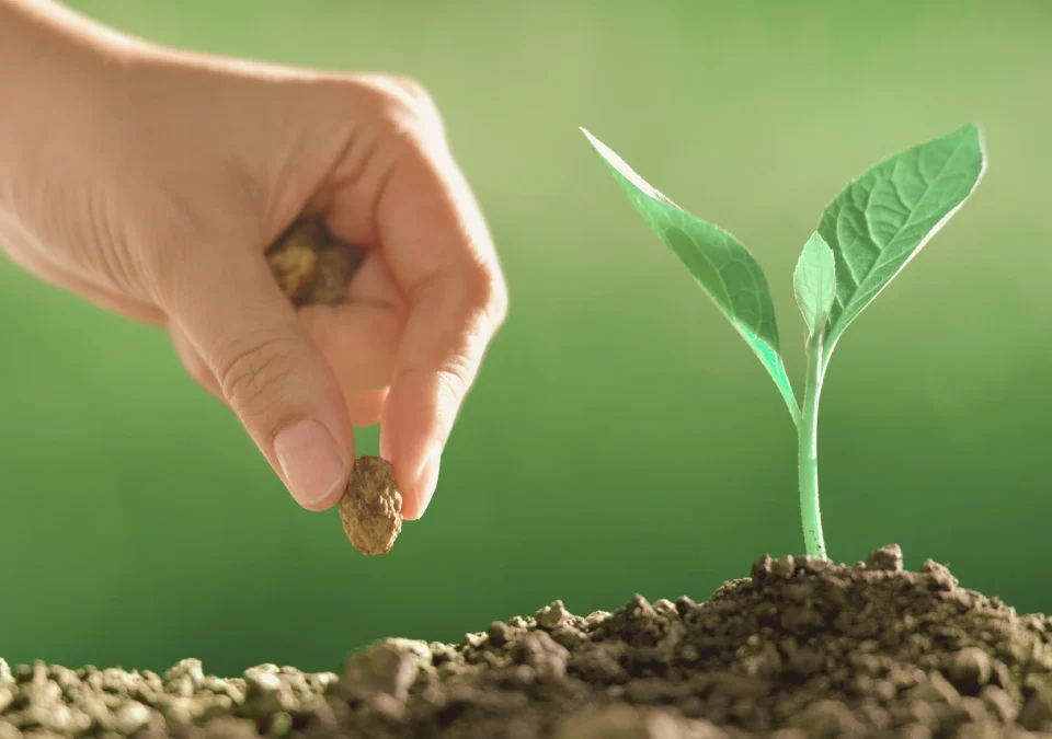 starting vs. growing a business