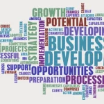 business-dev-sales
